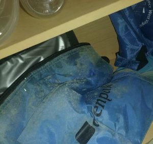 Mold starts growing from excess indoor humidity